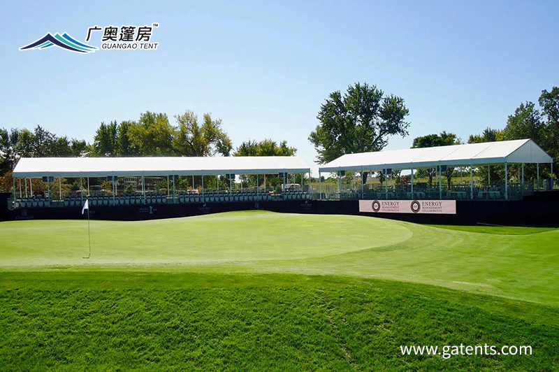 16993423910711468204.jpg 1 (33).jpg